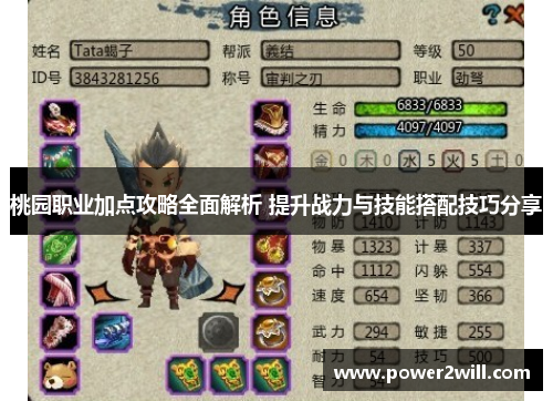 桃园职业加点攻略全面解析 提升战力与技能搭配技巧分享